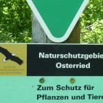 Osterried (16)