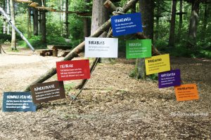 Beschreibung der verschiedenen Parcours im Kletterwald 