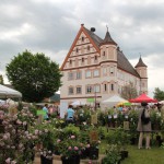 Rosenmarkt am Schloss Ummendorf - oberschwaben-welt