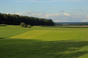 Grüne Landschaft Oberschwaben